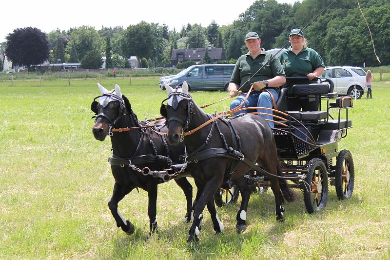 Pferde- und Ponyschau - Gut Beningsfeld 16.06.2013